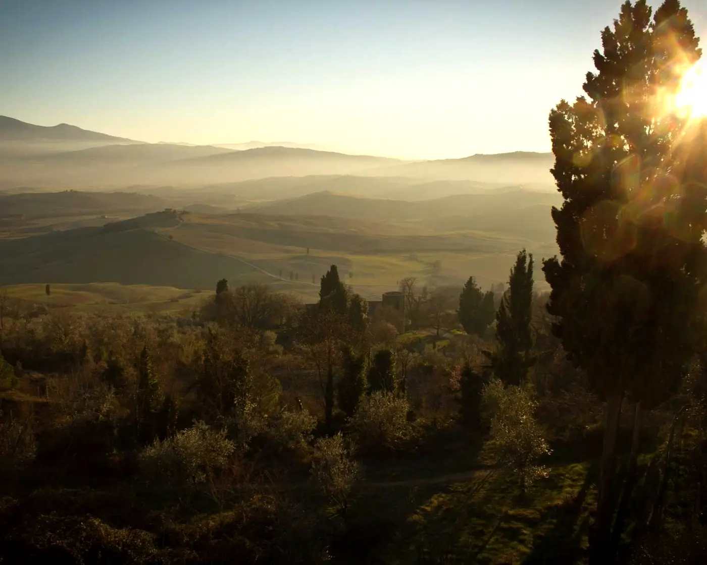 Rolling countryside at golden hour