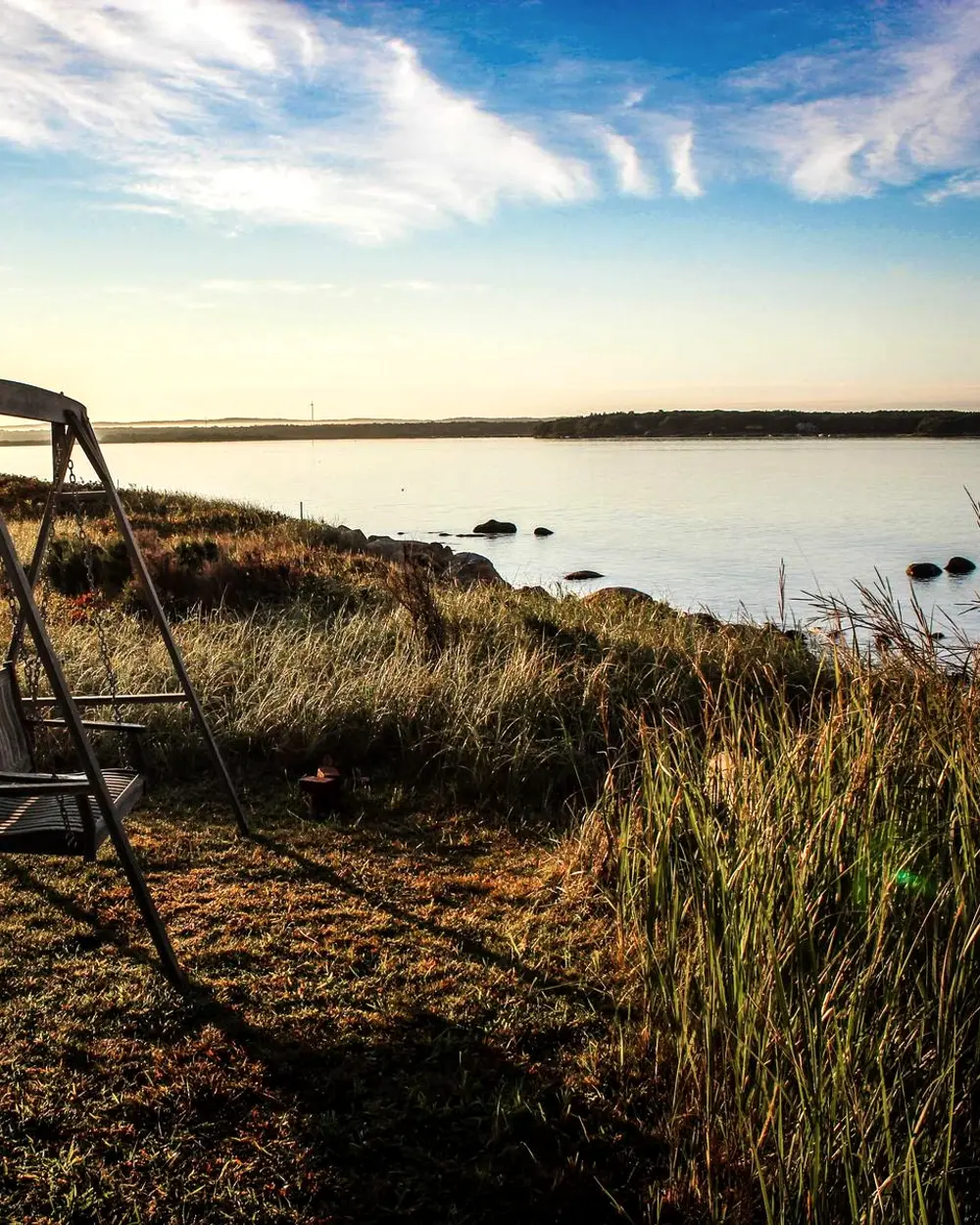 A grassy coastline looking out over the sea at golden hour