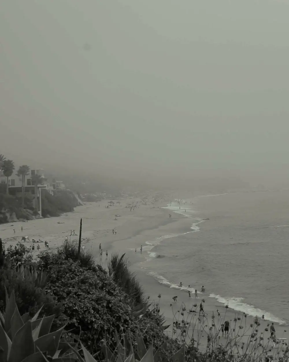A misty coastline at dusk